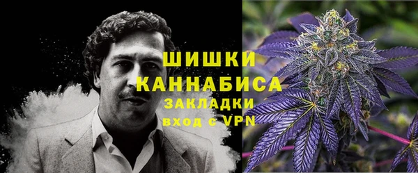 шишки Алексеевка