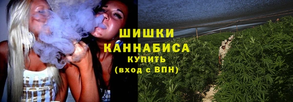 шишки Алексеевка